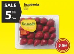 Co-op Strawberries offer