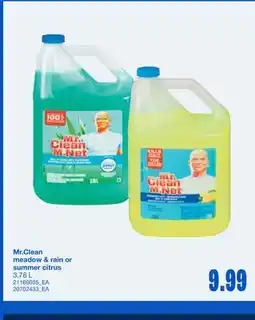 Wholesale Club MEADOW & RAIN OR SUMMER CITRUS, 3.78 L offer