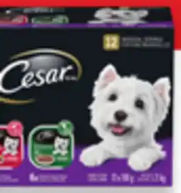 Walmart Cesar Wet Dog food Variety Pack offer