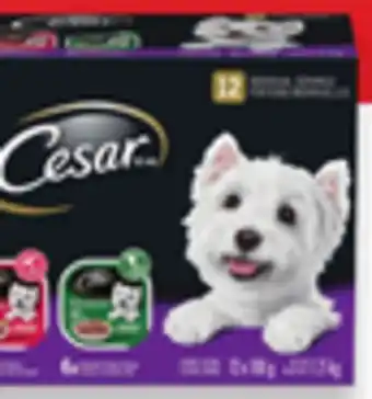 Walmart Cesar Wet Dog food Variety Pack offer