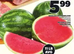 Independent Grocer SEEDLESS WATERMELONS, 11 LB AVERAGE offer