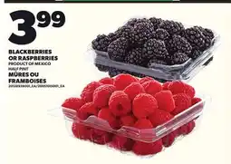 Independent Grocer BLACKBERRIES BLACKBERRIES OR RASPBERRIES offer