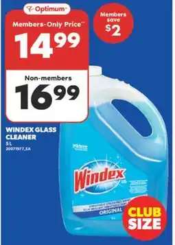 Real Canadian Superstore WINDEX GLASS CLEANER, 5 L offer