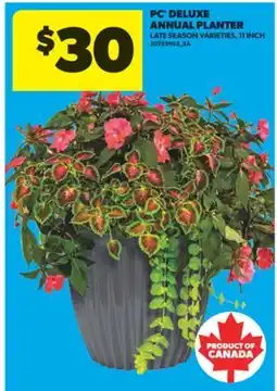Real Canadian Superstore PC DELUXE ANNUAL PLANTER, 11 INCH offer