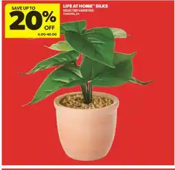 Real Canadian Superstore LIFE AT HOME SILKS offer
