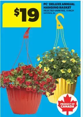 Real Canadian Superstore PC DELUXE ANNUAL HANGING BASKET, 11 INCH offer