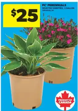 Real Canadian Superstore PC PERENNIALS, 2 GALLON offer