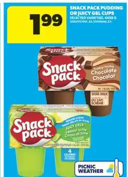 Real Canadian Superstore SNACK PACK PUDDING OR JUICY GEL CUPS, 4X99 G offer