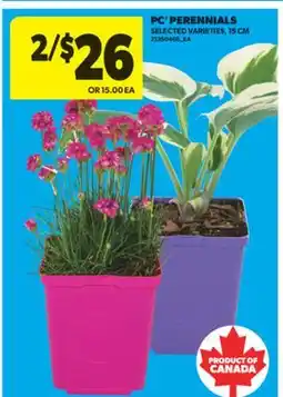 Real Canadian Superstore PC PERENNIALS, 15 CM offer