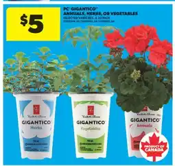 Real Canadian Superstore PC GIGANTICO ANNUALS, HERBS, OR VEGETABLES, 4.33 INCH offer