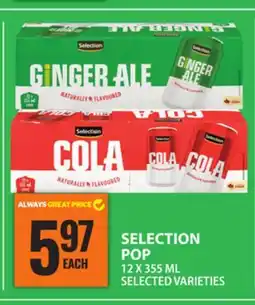 Food Basics SELECTION POP offer