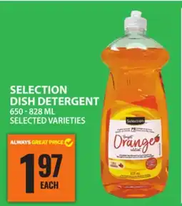 Food Basics SELECTION DISH DETERGENT offer