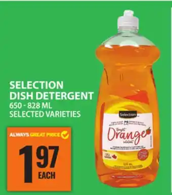 Food Basics SELECTION DISH DETERGENT offer