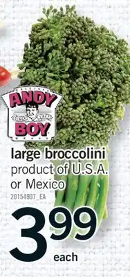 Fortinos LARGE BROCCOLINI offer