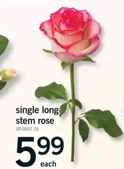 Fortinos SINGLE LONG STEM ROSE offer
