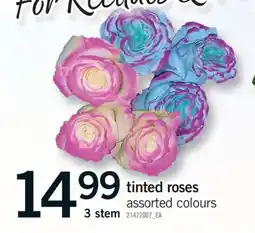 Fortinos TINTED ROSES, 3 STEM offer