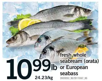 Fortinos FRESH WHOLE SEABREAM (ORATA) OR EUROPEAN SEABASS offer