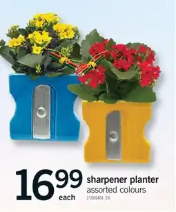 Fortinos SHARPENER PLANTER offer