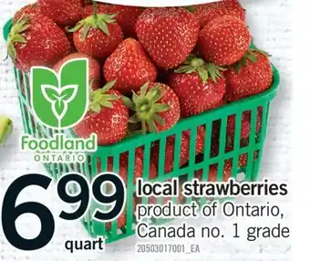 Fortinos LOCAL STRAWBERRIES offer