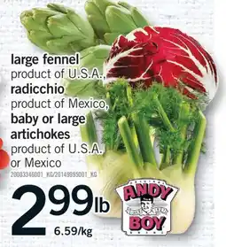 Fortinos LARGE FENNEL, RADICCHIO, BABY OR LARGE ARTICHOKES offer