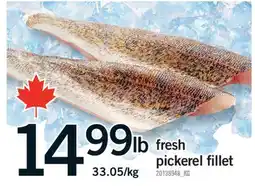 Fortinos FRESH PICKEREL FILLET offer