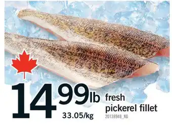 Fortinos FRESH PICKEREL FILLET offer