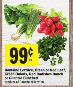 Foodland Romaine Lettuce, Green or Red Leaf, Green Onions, Red Radishes Bunch or Cilantro Bunched offer