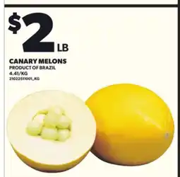 Loblaws CANARY MELONS offer