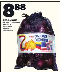 Loblaws RED ONIONS, 7 LB BAG offer