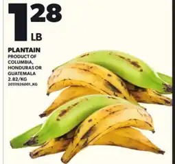 Loblaws PLANTAIN offer