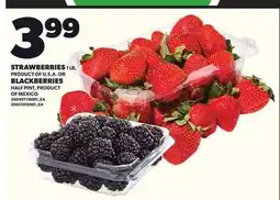 Loblaws STRAWBERRIES 1 LB, BLACKBERRIES HALF PINT offer