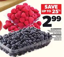 Loblaws BLUEBERRIES OR RASPBERRIES offer