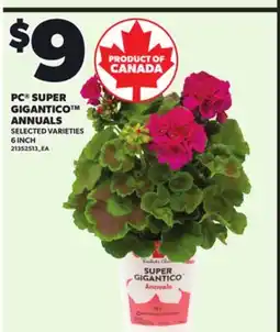 Loblaws PC SUPER GIGANTICO ANNUALS, 6 INCH offer