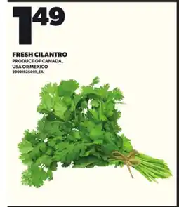 Loblaws FRESH CILANTRO offer