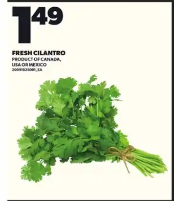 Loblaws FRESH CILANTRO offer