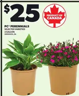 Loblaws PC PERENNIALS, 2 GALLON offer