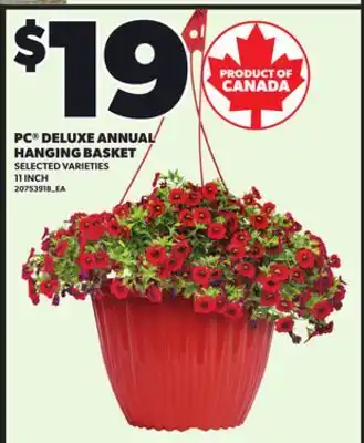 Loblaws PC DELUXE ANNUAL HANGING BASKET, 11INCH offer