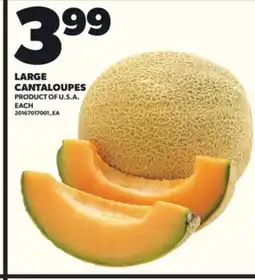 Loblaws LARGE CANTALOUPES offer