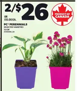 Loblaws PC PERENNIALS, 15CM offer