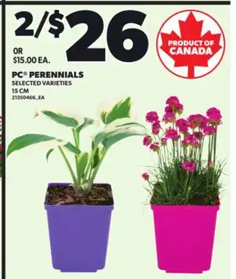 Loblaws PC PERENNIALS, 15CM offer