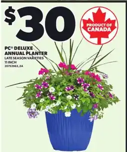 Loblaws PC DELUXE ANNUAL PLANTER offer