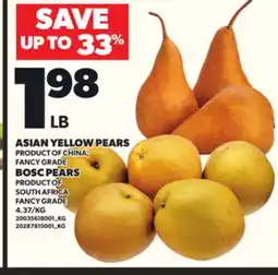 Loblaws ASIAN YELLOW PEARS, BOSC PEARS offer