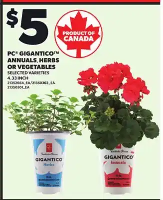 Loblaws PC GIGANTICO ANNUALS, HERBS OR VEGETABLES, 4.33 INCH offer
