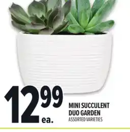Metro MINI SUCCULENT DUO GARDEN offer