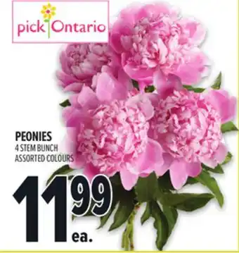 Metro PEONIES offer