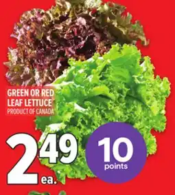 Metro GREEN OR RED LEAF LETTUCE offer