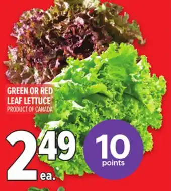 Metro GREEN OR RED LEAF LETTUCE offer