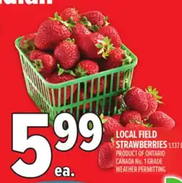 Metro FIELD STRAWBERRIES offer