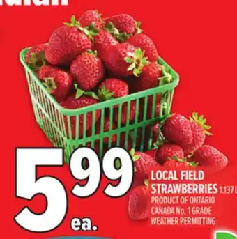 Metro FIELD STRAWBERRIES offer