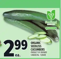 Metro ORGANIC SEEDLESS CUCUMBERS offer